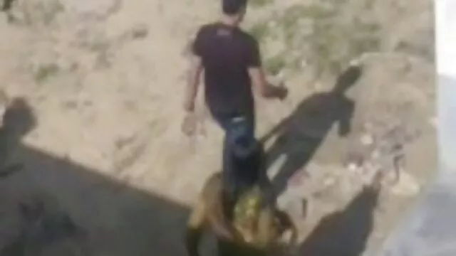puta branca gorda com o rabo grande fode-se e dança em striptease porno com animais gratis em vídeo Amador