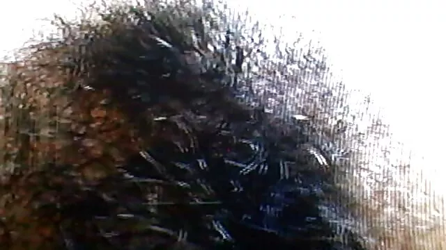 Puta transexual adora um porno gratis rita cadillac monte de esperma.