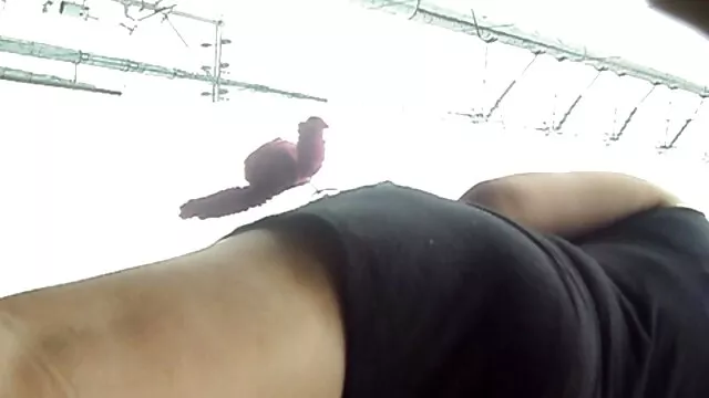 A melhor masturbação com vídeo pornô grátis com mulheres negras vibrador, um grande orgasmo.