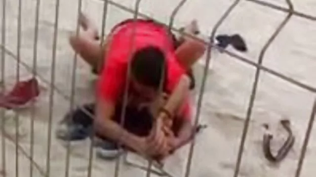 Vestido filme pornô grátis com animais Curto Branco